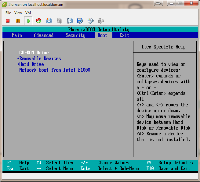 ESXi 5 BIOS Boot Options