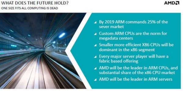 AMD Opteron A1100 Announcement Market Share