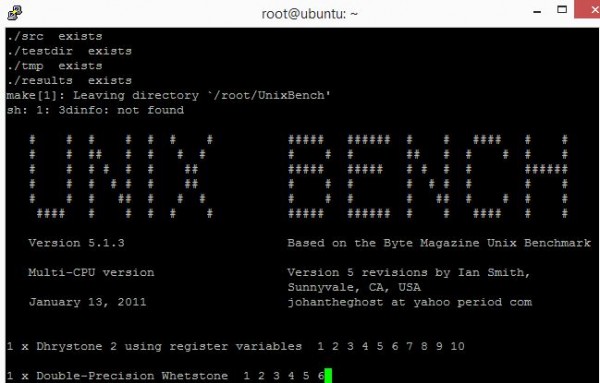 Running Linux-Bench UnixBench