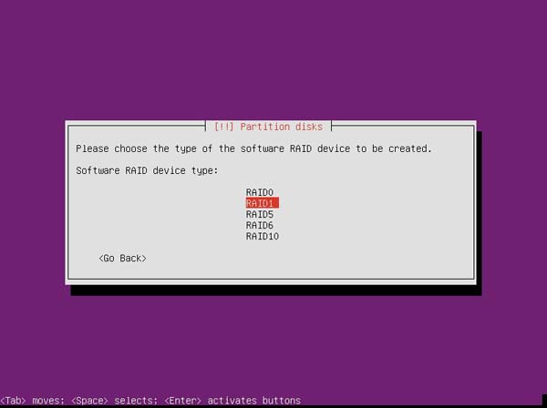 Ubuntu RAID 1 - Step 11 RAID1