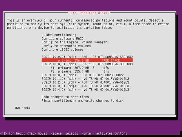 Ubuntu RAID 1 - Step 3 FREE SPACE