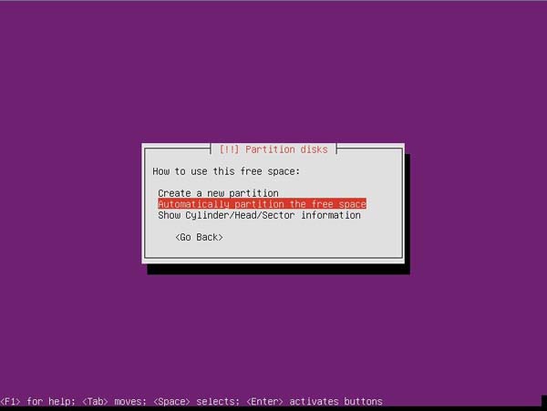 Ubuntu RAID 1 - Step 4 Automatically Partition