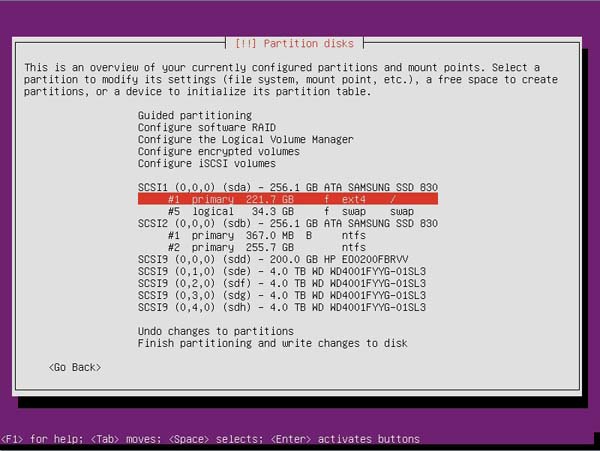Ubuntu RAID 1 - Step 5 Select the partition