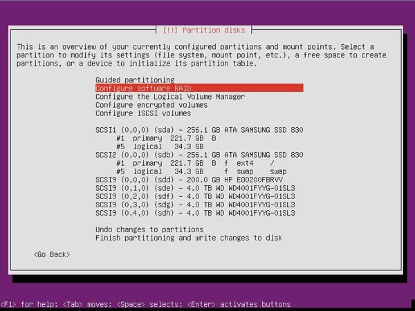 Ubuntu RAID 1 - Step 8 Configure Software RAID