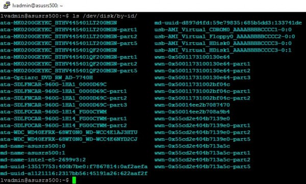 Ubuntu ZFS find disk by ID