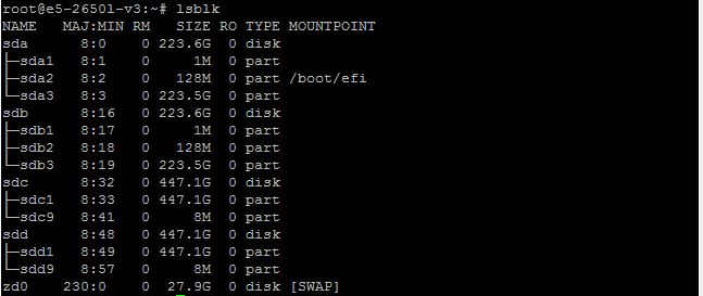 ZFS on Linux - Step 1 - determine block device