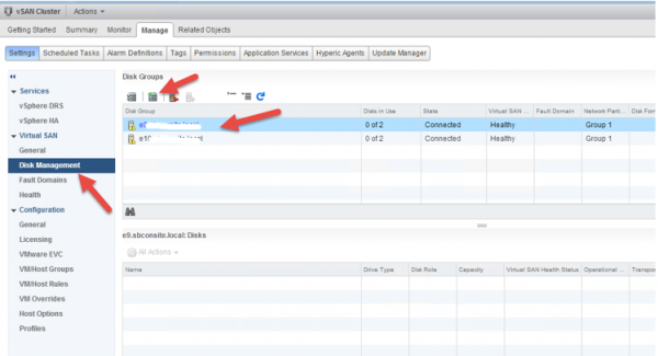 2 node flash vSAN - go to disk management