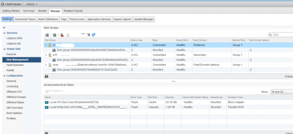 2 node flash vSAN - verify cluster configuration