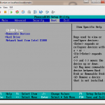 ESXi 5 BIOS Boot Options