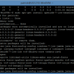 Install Minecraft on Hyper-V Ubuntu JAVA