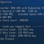 AMD Sempron 3850 BIOS View
