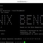 Running Linux-Bench UnixBench