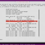Ubuntu RAID 1 – Step 15b root and swap changes