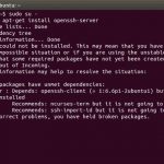 Ubuntu 14.04.1 LTS openssh-server install error