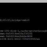 Proxmox FreeNAS – edit vm conf to pass by id