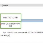 2 node flash vSAN – Storage Adapters and SSDs