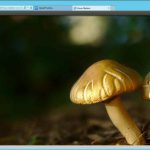 QNAP TS 453A Ubuntu Deskto