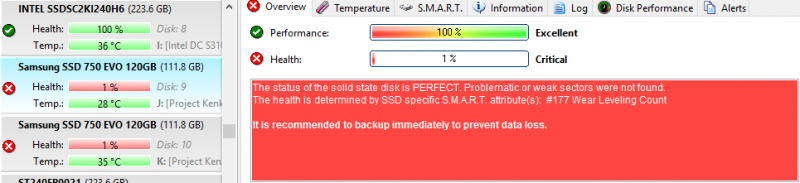 Project Kenko 01 Drives At 8TBW