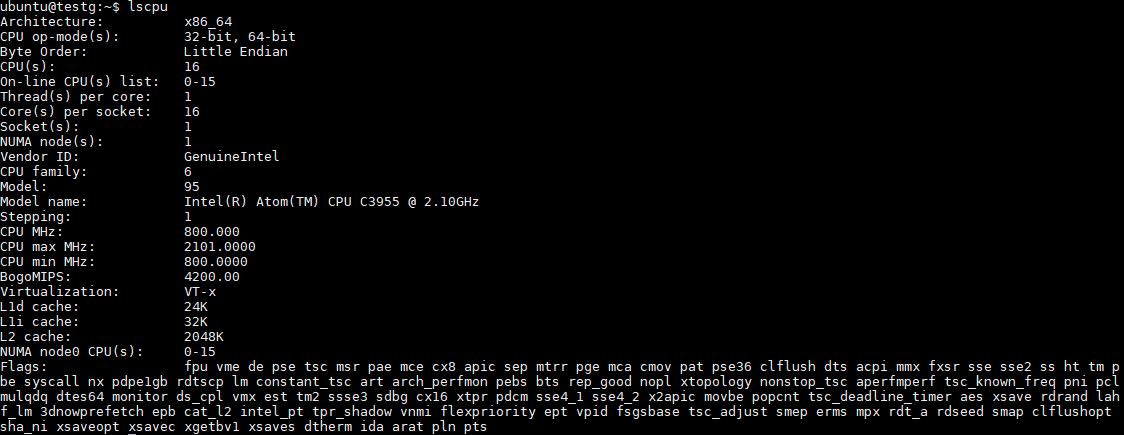Intel-Atom-C3955-lscpu-output.jpg