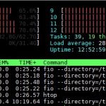 Intel Atom C3958 Htop Gzip 1