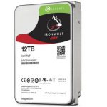 Seagate IronWolf NAS 12TB