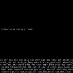 2P Intel Xeon Silver 4110 Lscpu