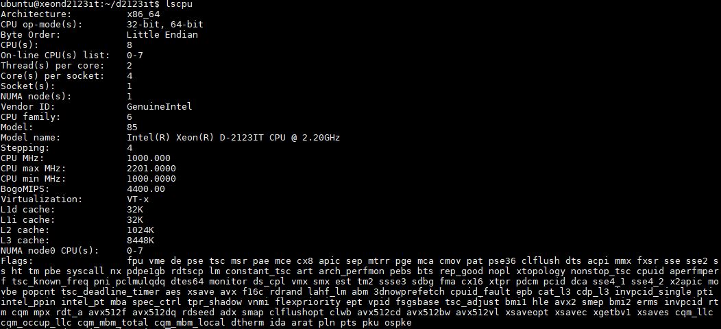 Intel Xeon D 2123IT Lscpu Output