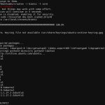 Google Chrome OS Crouton Ubuntu Bionic Beaver Installation Start