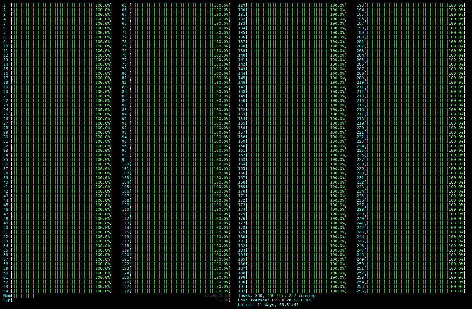 Cavium ThunderX2 Htop 100 Percent