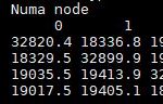 AMD EPYC 7551P Memory Bandwidth NUMA Node Matrix