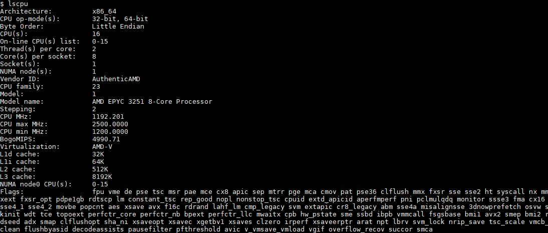 AMD EPYC 3251 Lscpu Output