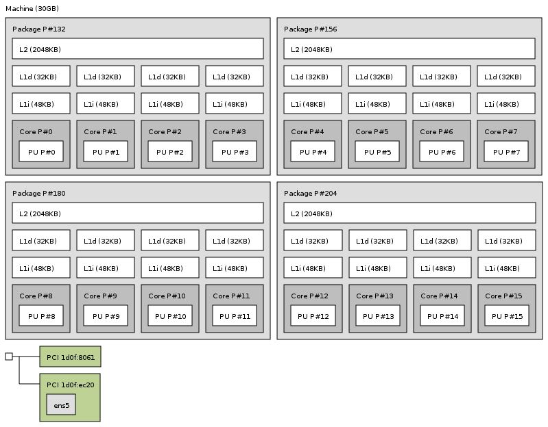 AWS A1.4xlarge Lstopo