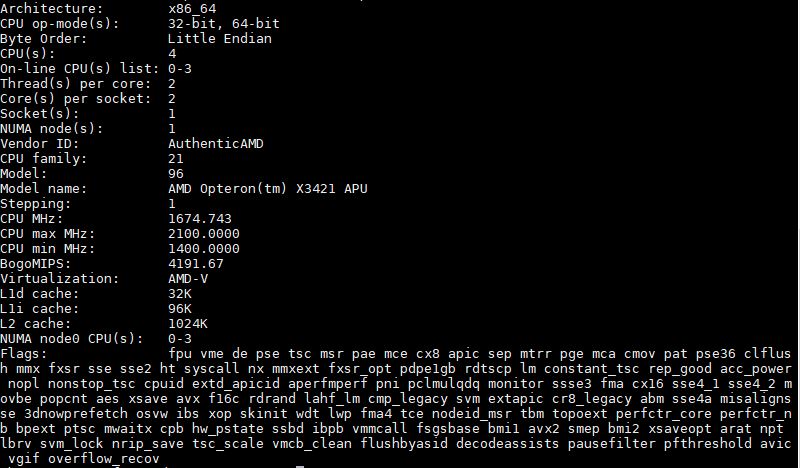 AMD Opteron X3421 Lscpu