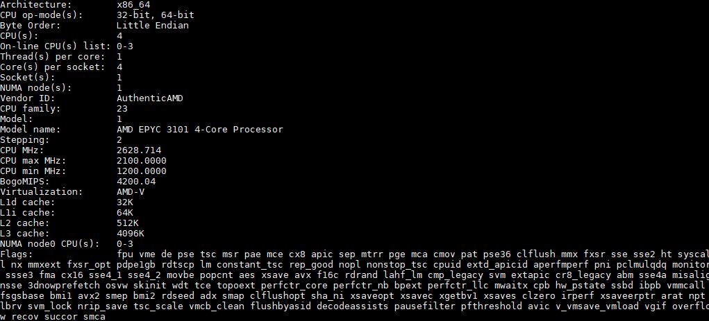 AMD EPYC 3101 Lscpu