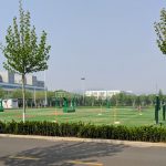Inspur Grass Basketball Courts