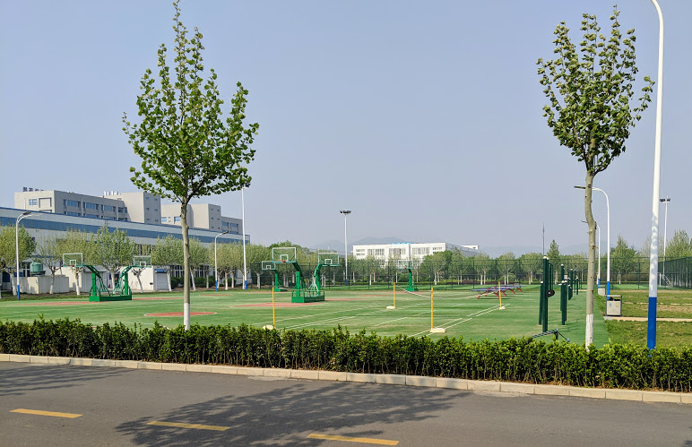 Inspur Grass Basketball Courts