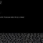 Intel Xeon Platinum 8260 Lscpu Output