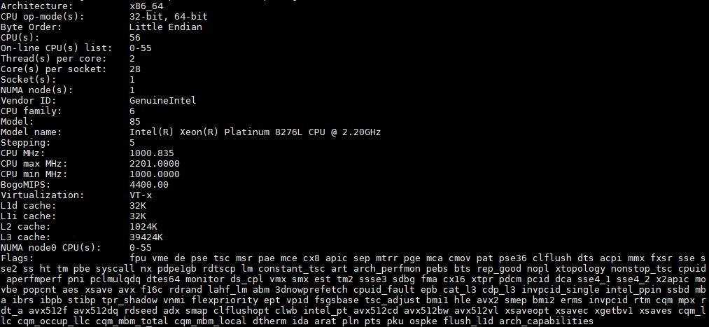 Intel Xeon Platinum 8276L Lscpu