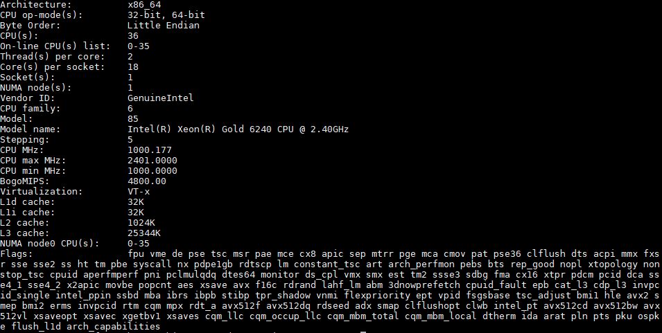 Intel Xeon Gold 6240 Lscpu Output