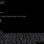 Intel Xeon Platinum 8268 Lscpu Output