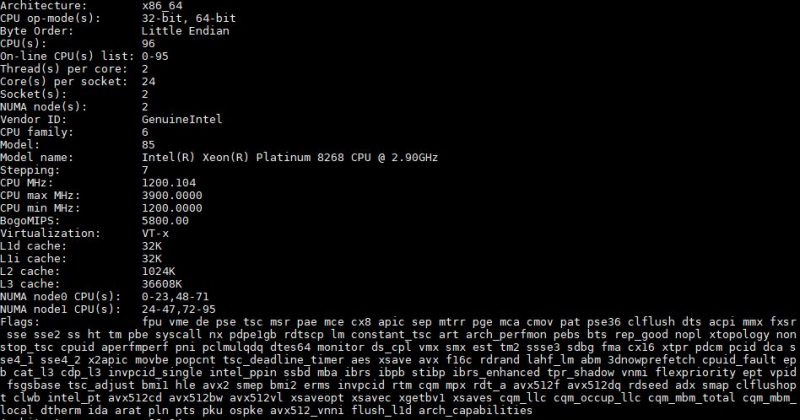 Intel Xeon Platinum 8268 Lscpu Output