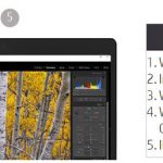 ZBook 14u G6 Display View
