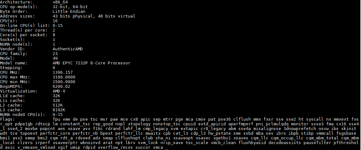 AMD EPYC 7232P Lscpu Output