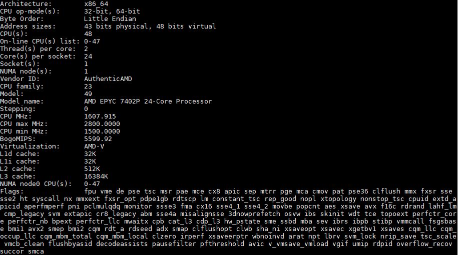 AMD EPYC 7402P Lscpu