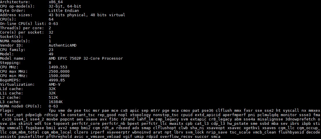 AMD EPYC 7502P Lscpu Output