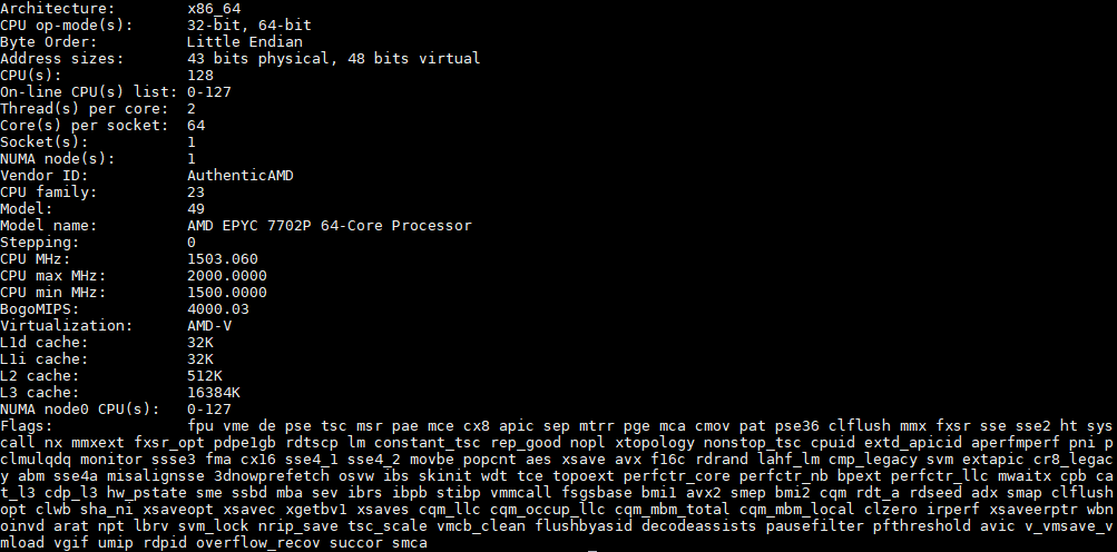 AMD EPYC 7702P Lscpu Output