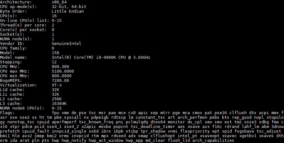 Intel Core I9 9900K Lscpu Output