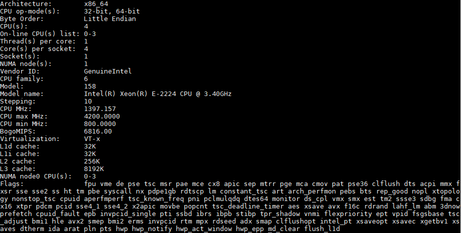 Intel Xeon E 2224 Lscpu Output