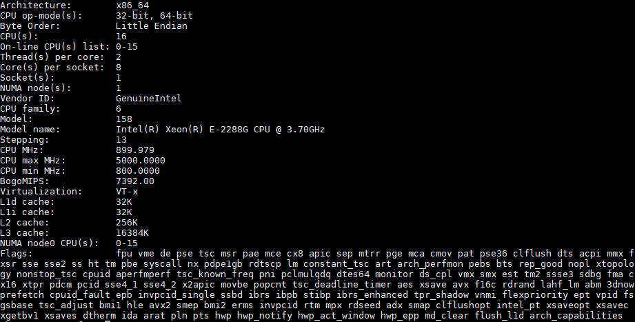 Intel Xeon E 2288G Lscpu Output