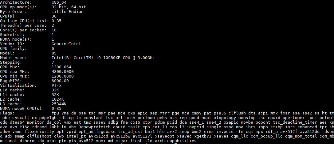 Intel Core I9 10980XE Lscpu Output